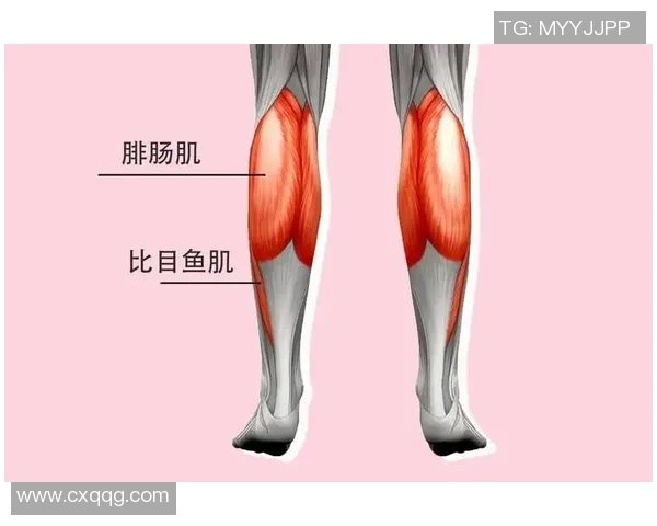 女生足球运动中的腿部肌肉发展与美丽身材的关系探讨